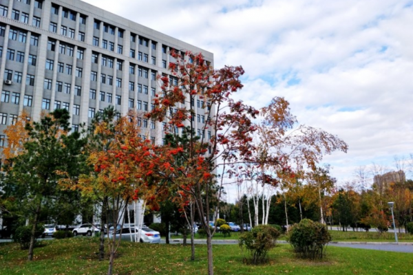 哈爾濱林業大學項目